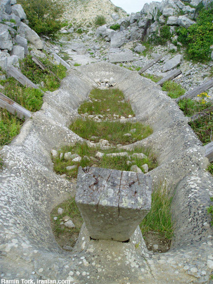 rtzen016