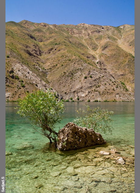 sajsaf035