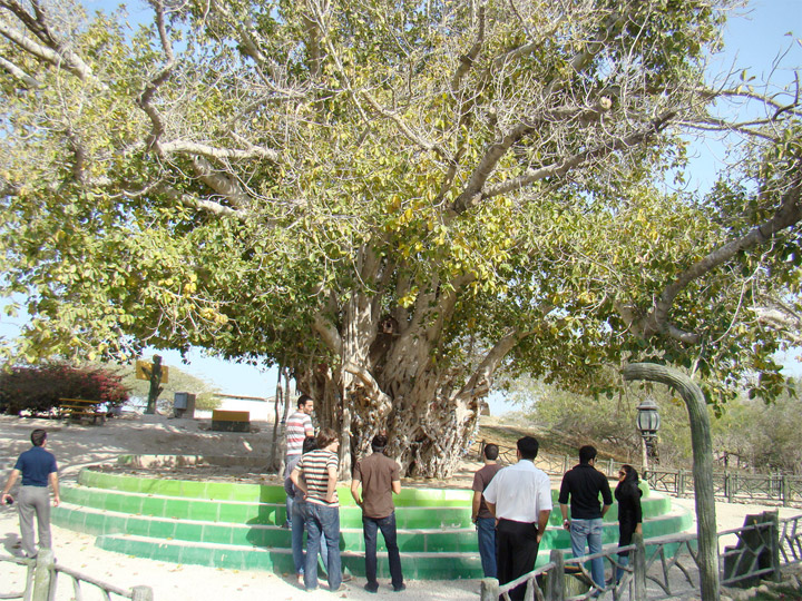 samairan041