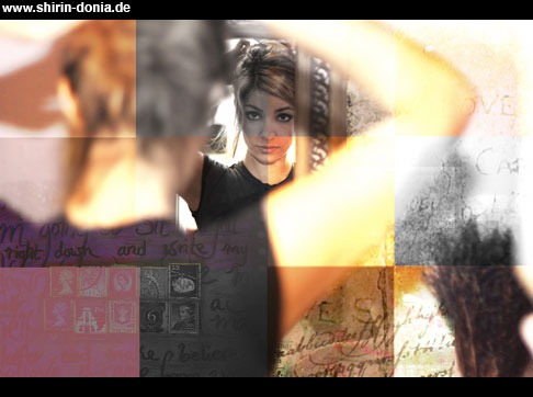 shdon061