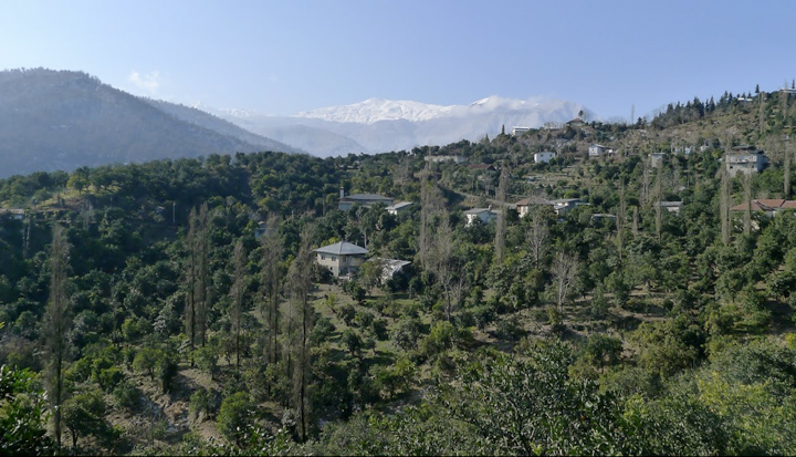 sisaor043