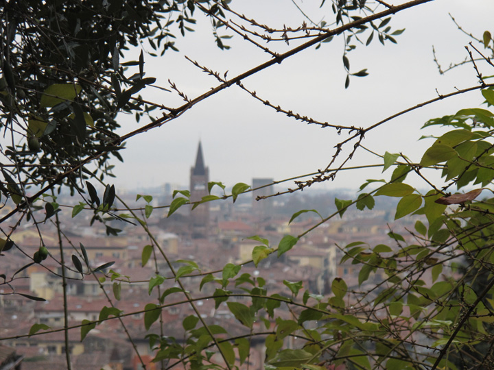 verona095