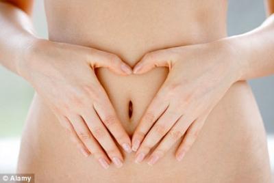 ovary.jpg