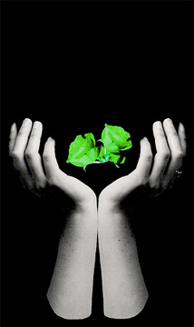 Emphasis on Human Rights