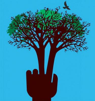 Power to the Greens