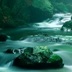 Follow the Stream